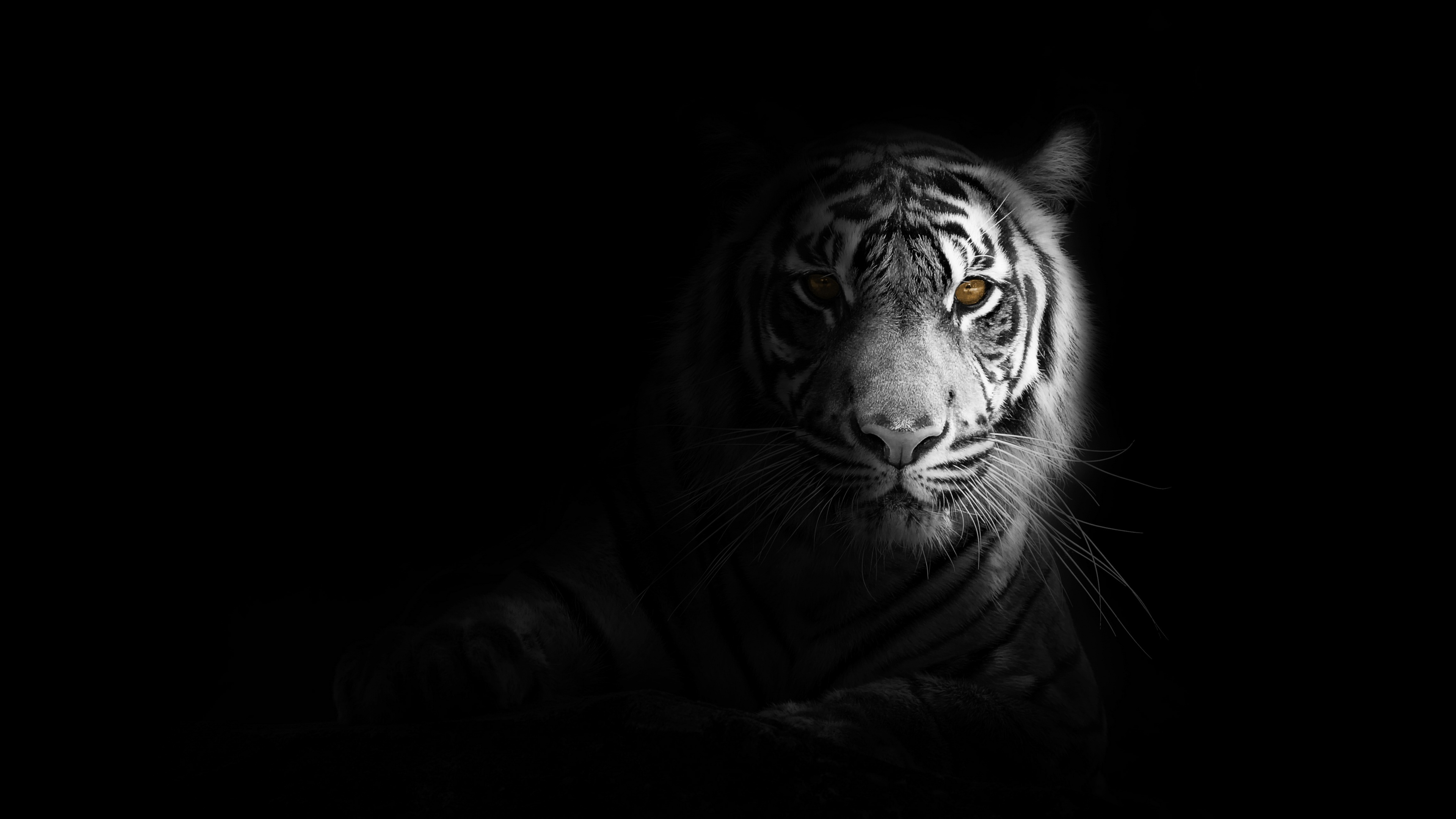 White tiger visual used as the Leucistic premium brand mark